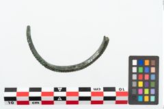 Foto von Bronzearmreif (NHMW-PRAE-026052)